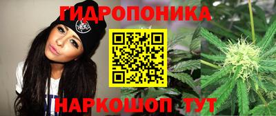 каннабис Новозыбков