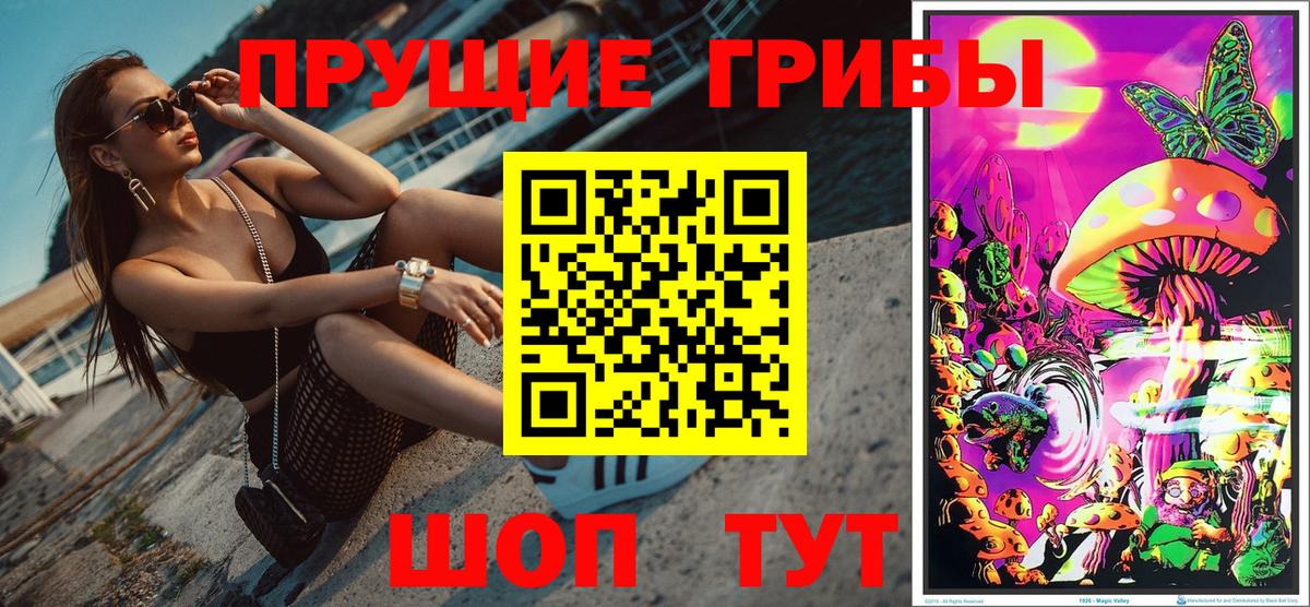 Галлюциногенные грибы Psilocybe Арзамас