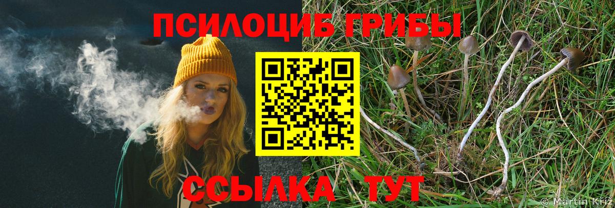 Арзамас  Галлюциногенные грибы Magic Shrooms  Вход с VPN 